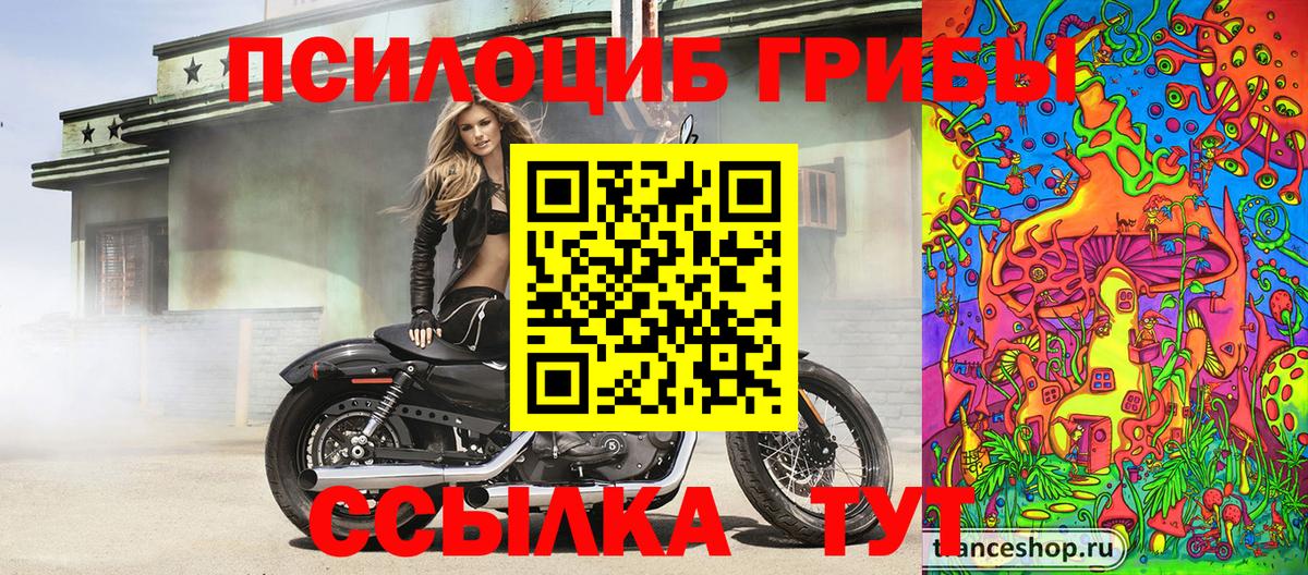 Галлюциногенные грибы ЛСД Ухта