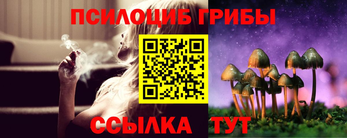 Псилоцибиновые грибы Cubensis  Вход с VPN  Ухта 